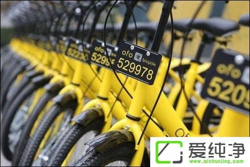 ofo��������֥��������Ѻ����ô��ͨ��ofo��Ѻ��Ҫ���ٷ���