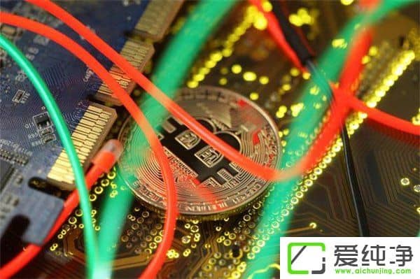 ����Ӣ��������վ��ֲ������ڿ�����