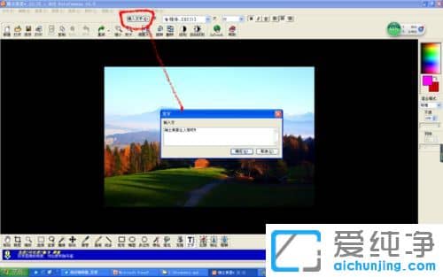 XP´¿¾»°æÏµÍ³ÏÂÔõôÓÃAcdSee¸øÍ¼Æ¬²åÈëÎÄ×Ö
