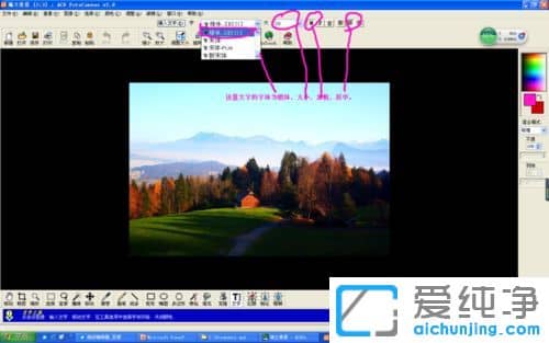 XP´¿¾»°æÏµÍ³ÏÂÔõôÓÃAcdSee¸øÍ¼Æ¬²åÈëÎÄ×Ö