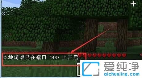 XP´¿¾»°æÏµÍ³ÏÂÎÒµÄÊÀ½çÔõô¶àÈËÁª»ú