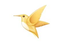 Ѹ��VIP������V2.0(��������Դֱ����)