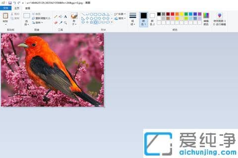 win7纯净版jpg图片怎么压缩变小?win7纯净版怎么用画图工具快速压缩图片