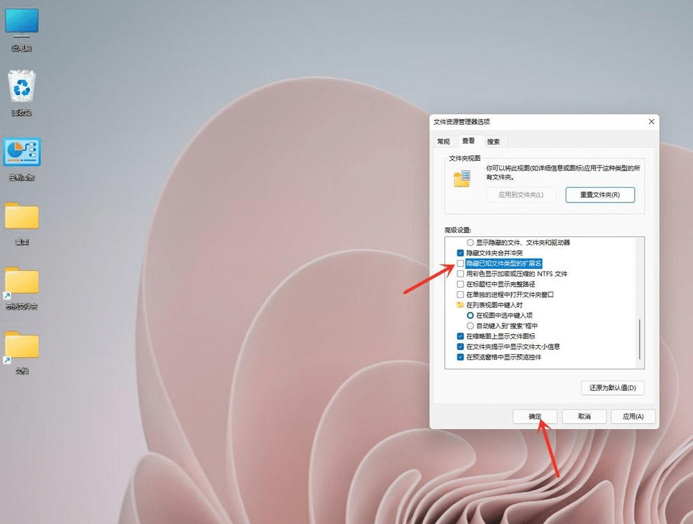 win11系统如何显示文件后缀名