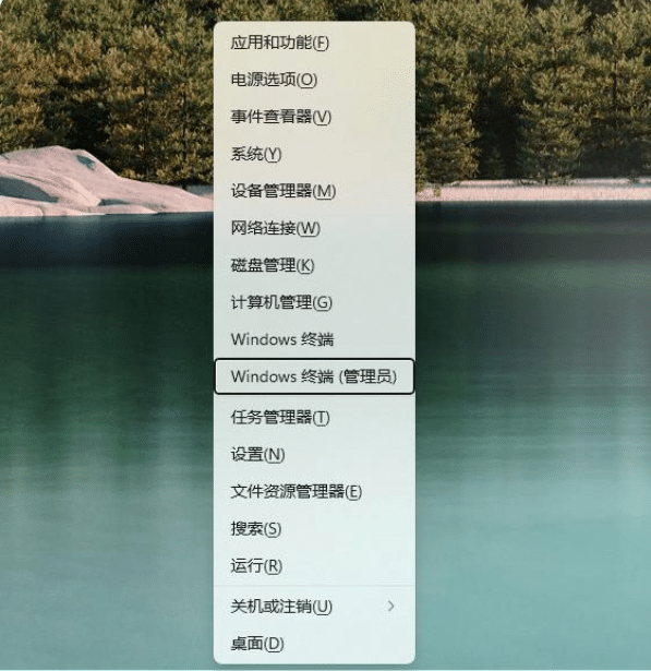 Win11ϵͳӦ���̵껹���ϰ汾��ô����