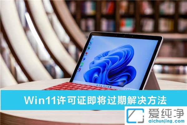 win11����֤����������ô�����