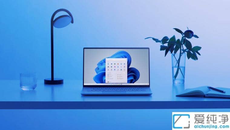 ����Win11 22557��Edge������޷���