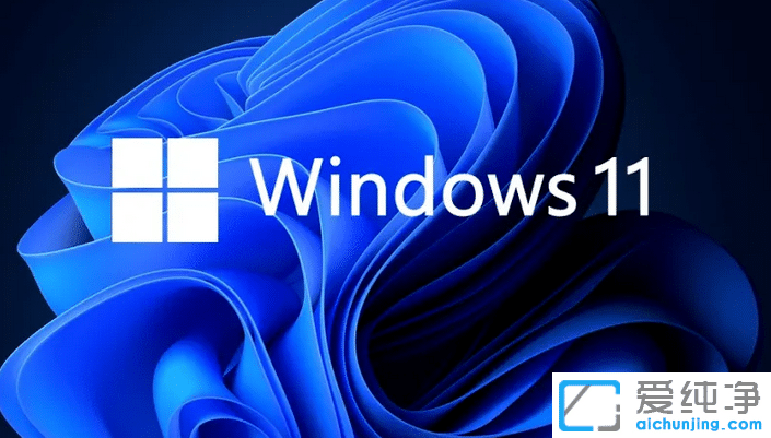 win11������Щ�汾_win11�����汾����