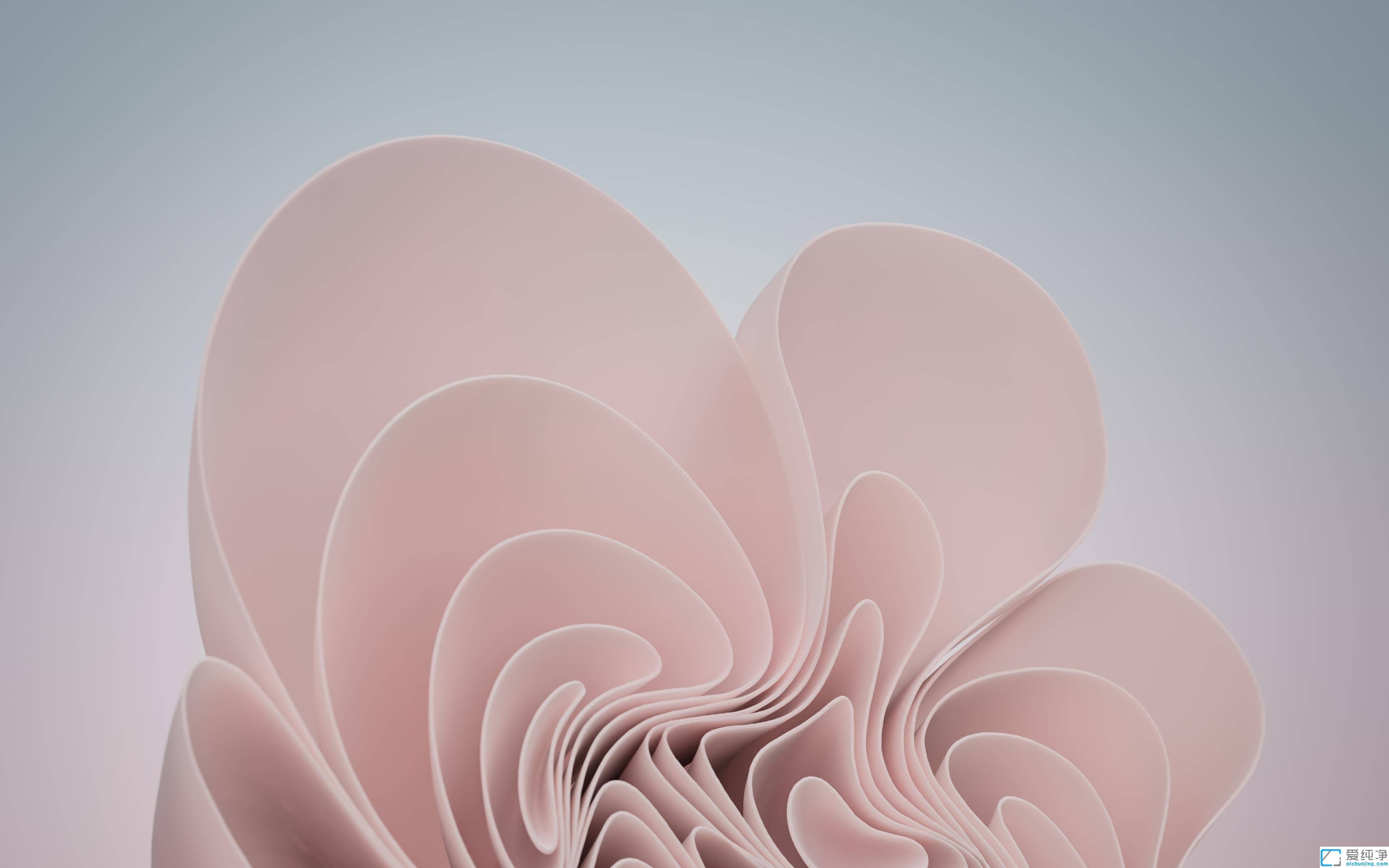 win11哪个版本的系统最好