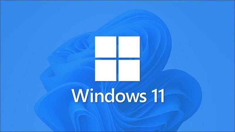 Win11�����ļ�����������_windows11ϵͳ��������