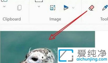 win11��ͼ��ô�ı�ͼƬ��С_win11��ͼ������ô����ͼƬ��С