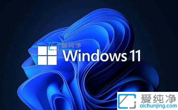 win11ϵͳbusiness��consumer����_win11�����߰����ҵ����ʲô����
