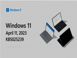 Win11 22H2(22621.1555)�����ۻ����²���KB5025239