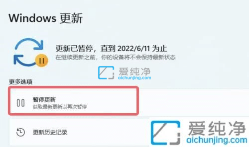 Win11�����ͣϵͳ�Զ�����-�����ͣwin11����