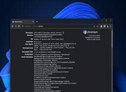 Win11�����ȸ�Chrome�������������Mica����