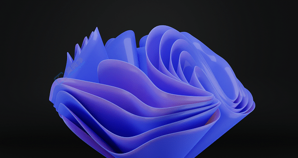 windows11���°汾����