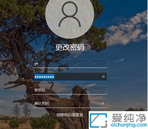 win11���ȡ�������¼����-win11ȥ����������