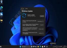 Win11 Beta 22635.2483 ��������ʱ���� 3D Emoji ���޸� BUG