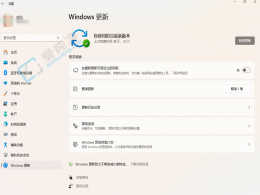 ΢���� Beta �������� Win11 22635.3350 �汾����