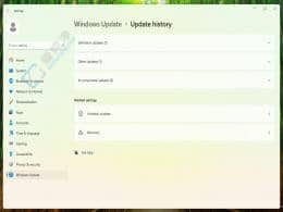 Win11 Canary 26217 ��֧�ֲ鿴 AI �������