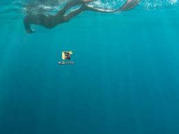 �����Windows10�м����ļ��б�������˽�����ݣ�