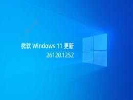 Win11�û�������������Dev���´���BUG�����ؿ� 8%��CPU ռ�� 100%�����Կ��ٵ�