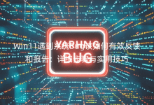 Win11����ϵͳBug�������Ч�����ͱ��棺��ϸ������ʵ�ü���