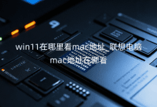 win11在哪里看mac地址_联想电脑mac地址在哪看