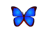 bkViewer v8.2e 免费电脑查看图片软件