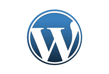 WordPress v6.9.0 ��Դǿ��Ĳ�����վ����